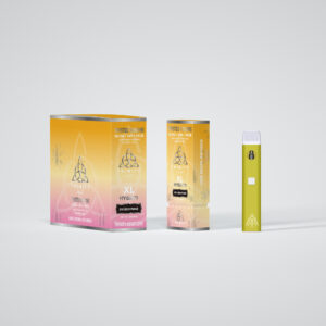 24K Gold Punch